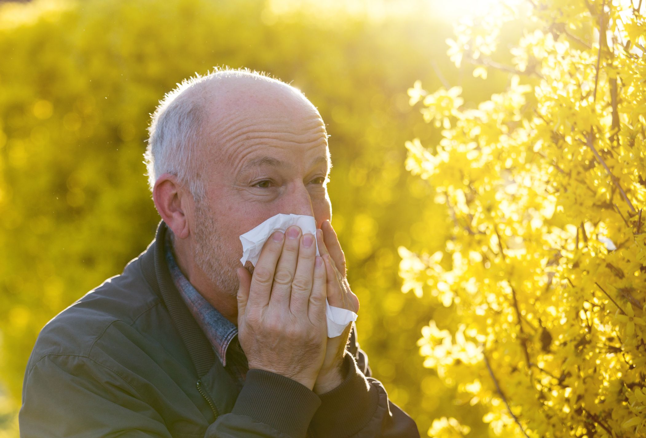 Se estima que para el año 2050, la mitad de la población mundial podría sufrir algún tipo de alergia | iStock Se estima que para el año 2050, la mitad de la población mundial podría sufrir algún tipo de alergia | iStock