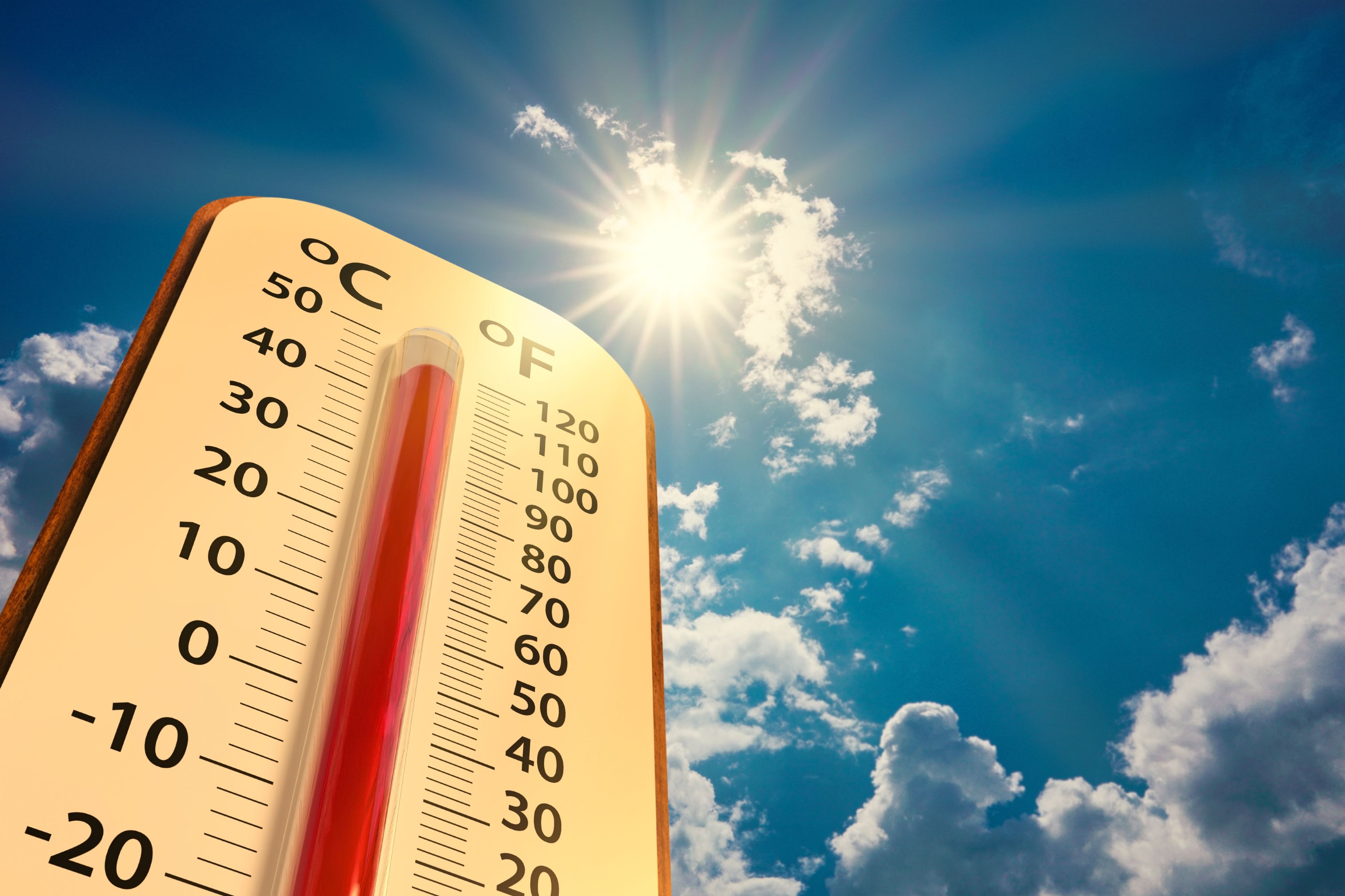 La calor estival ha provocat més de 70.000 morts a Europa durant els darrers 20 anys | iStock