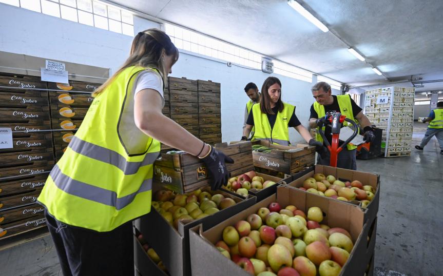 Recogida de alimentos en el almacén para distribuir a los bancos de alimentos | Cedida Recogida de alimentos en el almacén para distribuir a los bancos de alimentos | Cedida