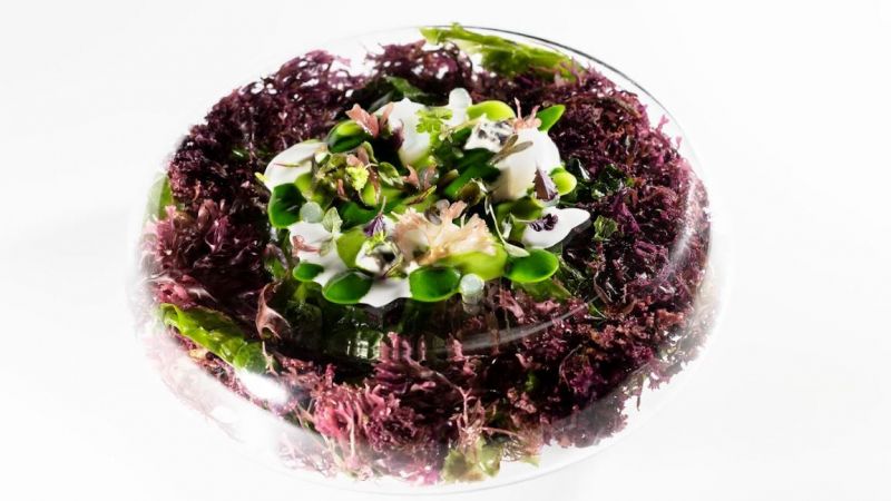 El plato "Marea alta", dentro del menú Il Milione | Cedida El plato "Marea alta", dentro del menú Il Milione | Cedida