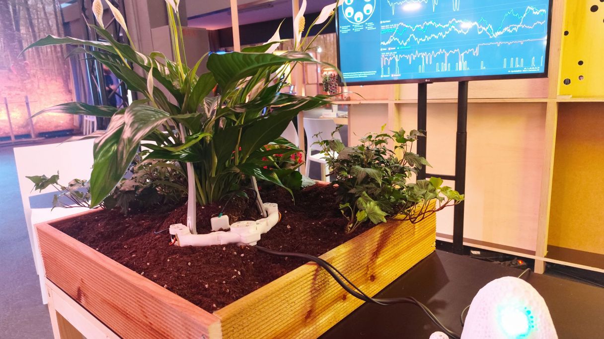 Una de les plantes connectades a la xarxa del projecte 'Otras inteligencias' | MV Una de les plantes connectades a la xarxa del projecte 'Otras inteligencias' | MV