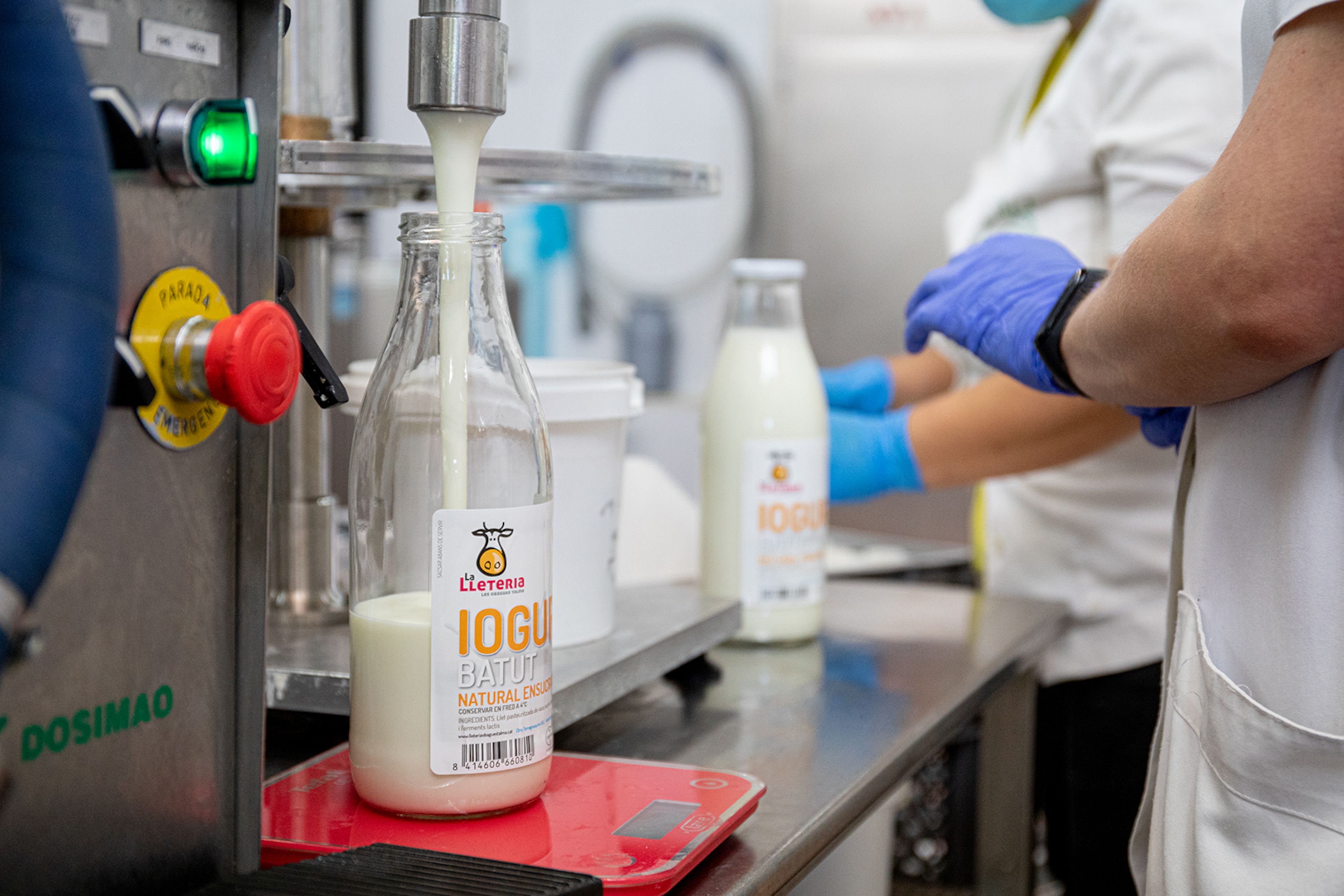 Una màquina omplint una botella de iogurt del projecte social La Lleteria de Talma en un obrador | Cedida