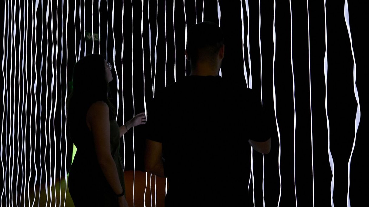 'Cascade', de Marc Villanueva a l'exposició 'Simbiòpolis del Palau Robert | Cedida 'Cascade', de Marc Villanueva a l'exposició 'Simbiòpolis del Palau Robert | Cedida