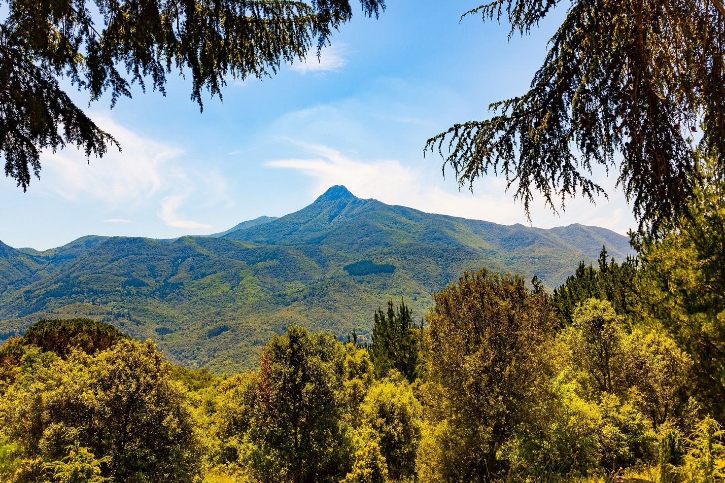 Parque natural del Montseny | Cedida