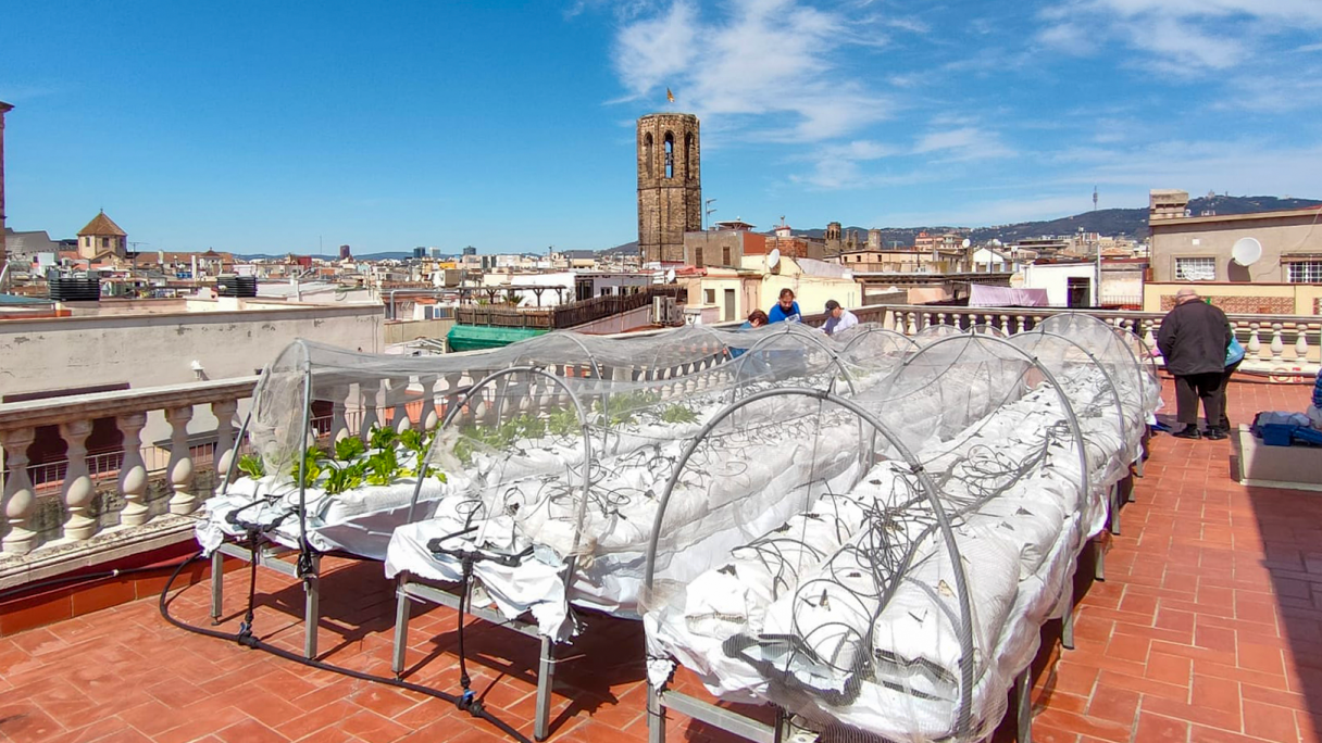 Hort urbà instal·lat al carrer Avinyó de Barcelona per Tectum Garden | Cedida