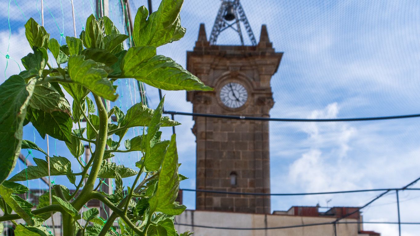 Tectum Garden s'especialitza en l'automatització i instal·lació d'horts urbans en cobertes, terrasses i altres espais no aprofitats | Cedida