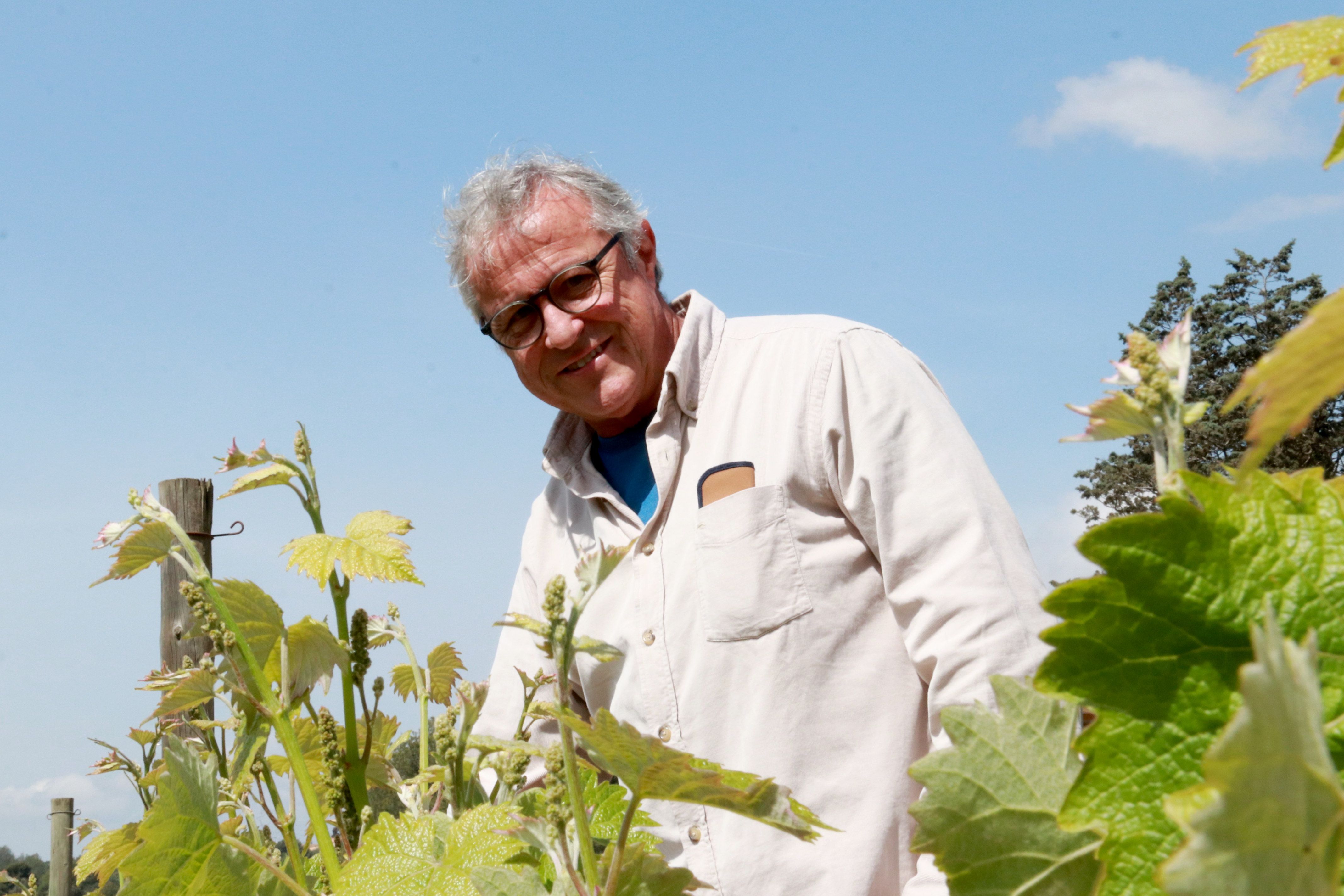 El president de la DO Penedès, Joan Huguet, fotografiat entre vinyes | Gemma Sánchez Bonel / ACN El president de la DO Penedès, Joan Huguet, fotografiat entre vinyes | Gemma Sánchez Bonel / ACN