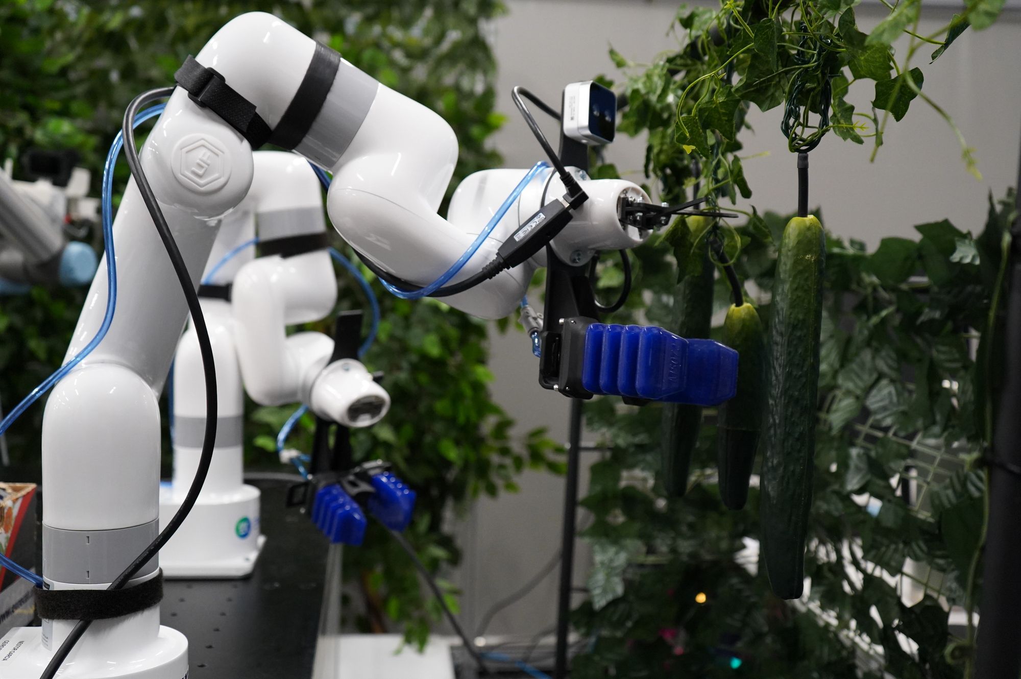 Un robot de Eurecat | Cedida
