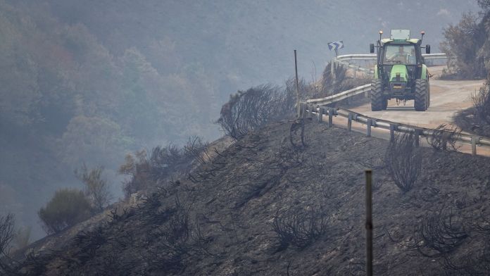 Amb l’arribada del tractor, l’agricultura va viure una profundíssima reestructuració | Europa Press Amb l’arribada del tractor, l’agricultura va viure una profundíssima reestructuració | Europa Press
