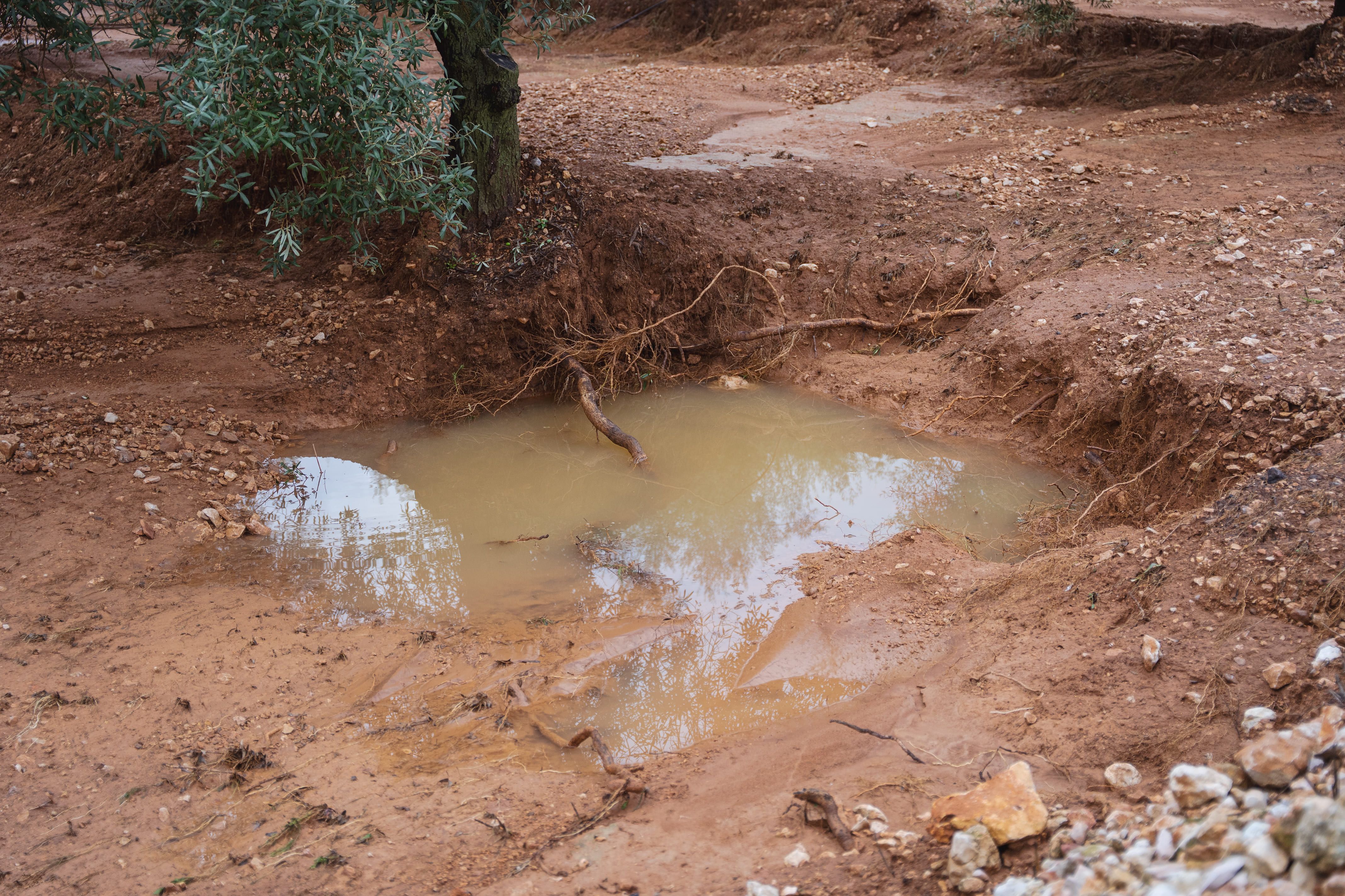 El Montsià y el Baix Ebre son las comarcas más afectadas | ACN