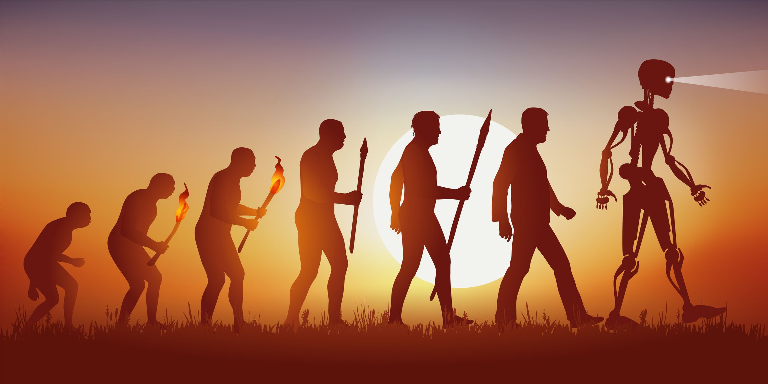 Avui, l’entorn ja no és la natura salvatge, sinó un ecosistema hiperconnectat | iStock