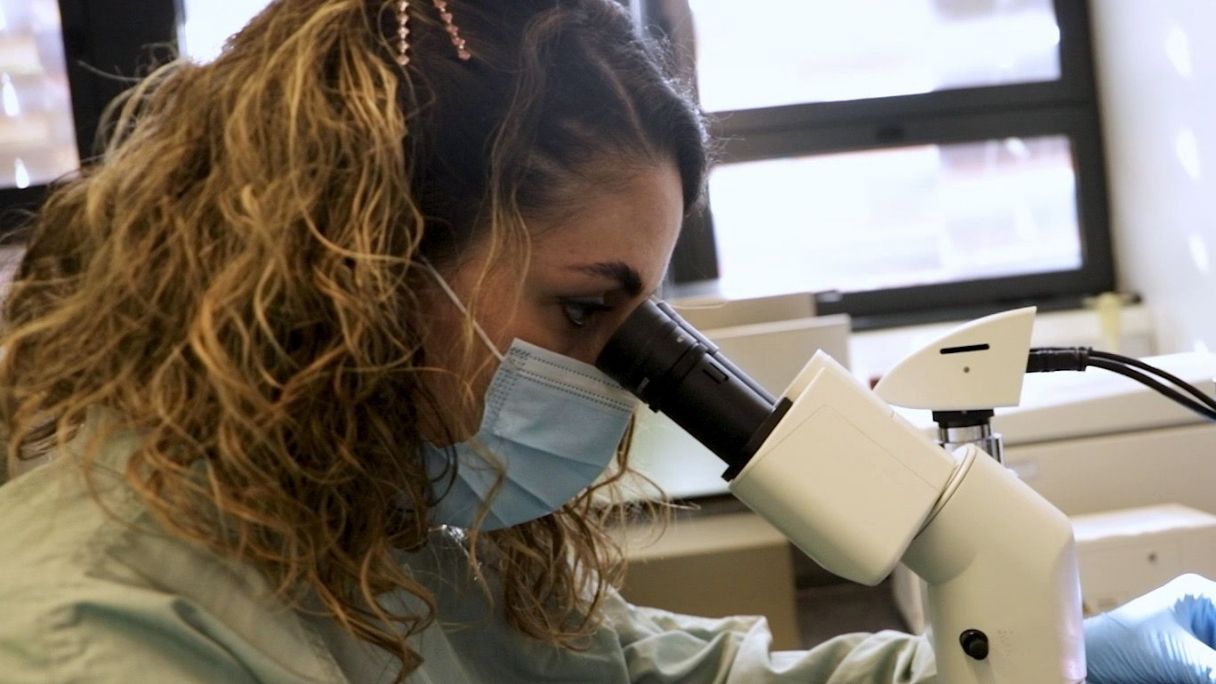 Una investigadora de Nanoligent, observant pel microscopi | Cedida Una investigadora de Nanoligent, observant pel microscopi | Cedida