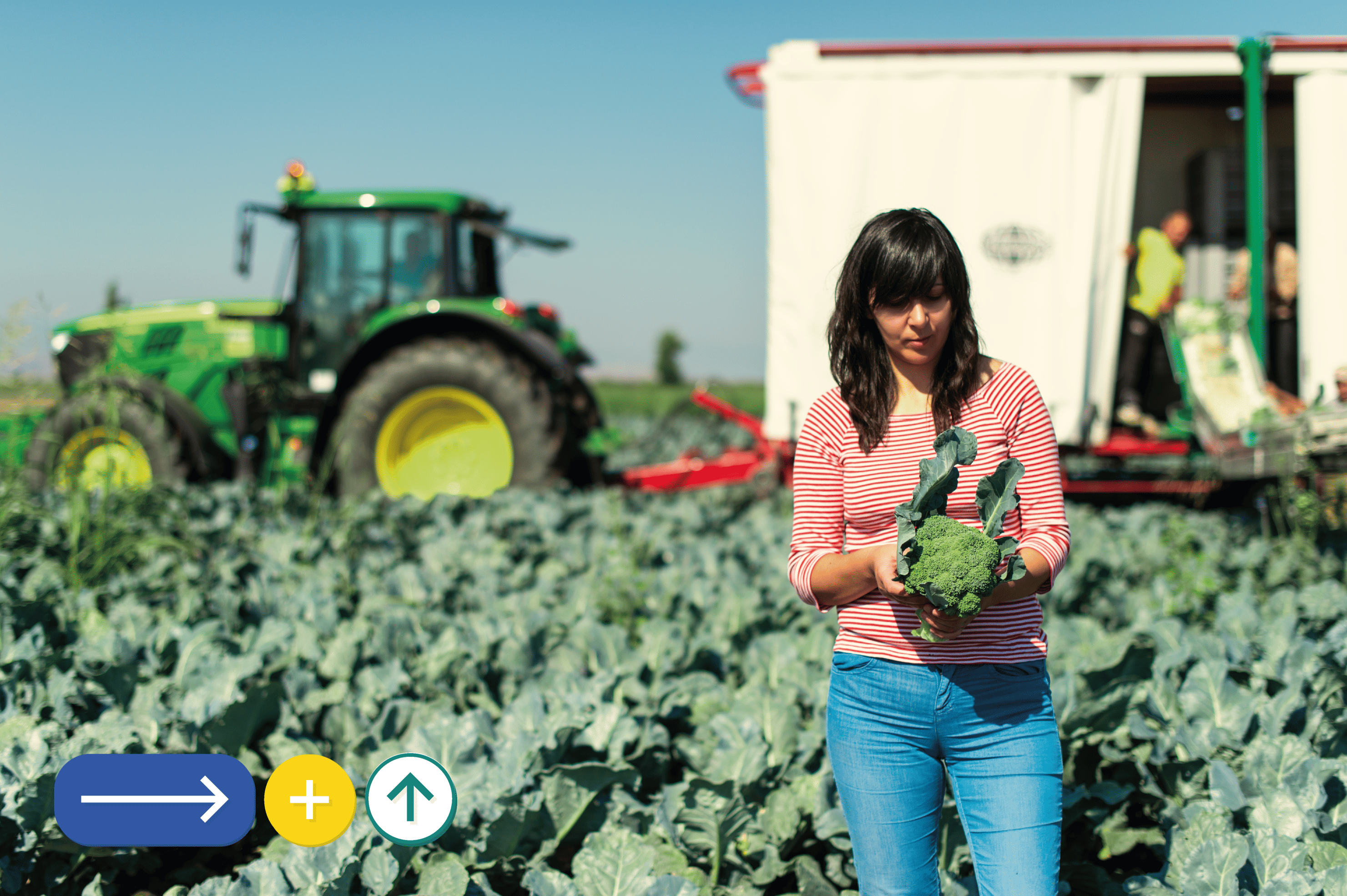 Una de les característiques principals de les microcredencials és la seva naturalesa flexible i de curta durada, que oscil·la entre les 25 i les 375 hores | Cedida