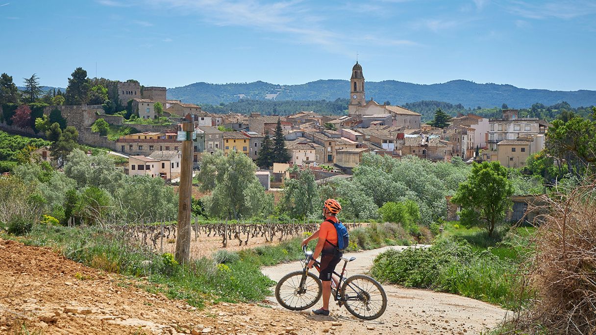 Un dels paisatges que formen part de la Ruta del Cister | Consell Comarcal de la Conca de Barberà