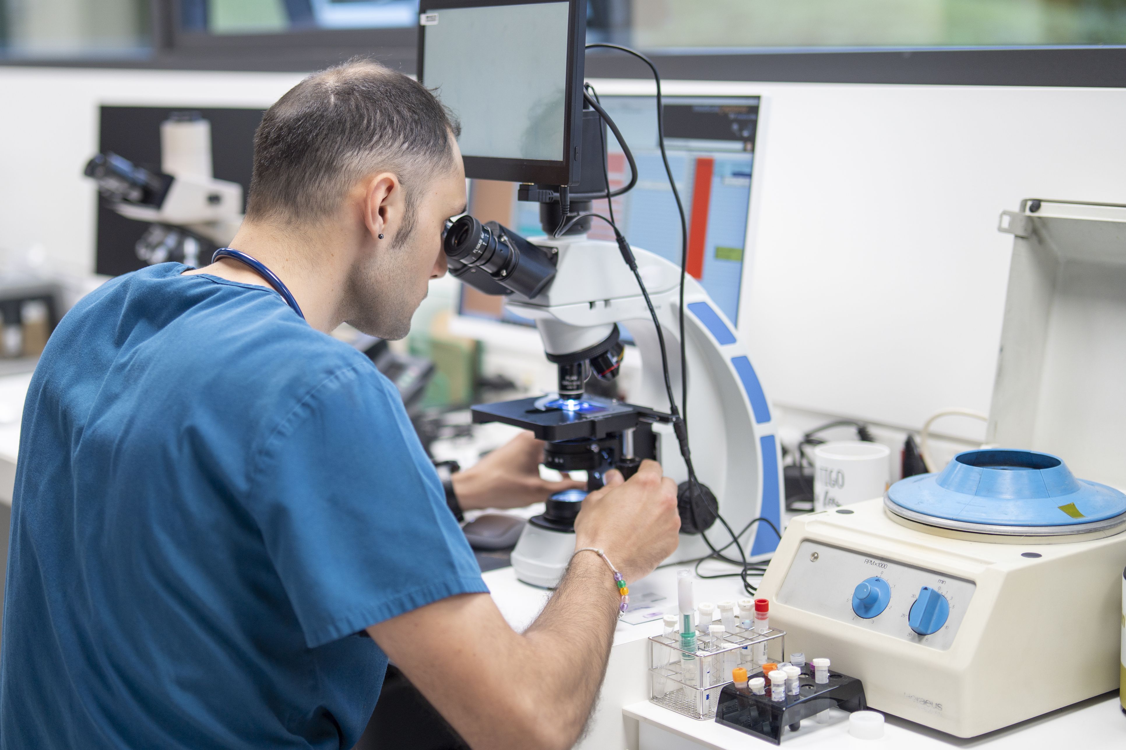 Vetgenomics desarrolla protocolos de análisis molecular en salud animal para diagnosticar enfermedades infecciosas y genéticas | Leicarras (iStock) Vetgenomics desarrolla protocolos de análisis molecular en salud animal para diagnosticar enfermedades infecciosas y genéticas | Leicarras (iStock)