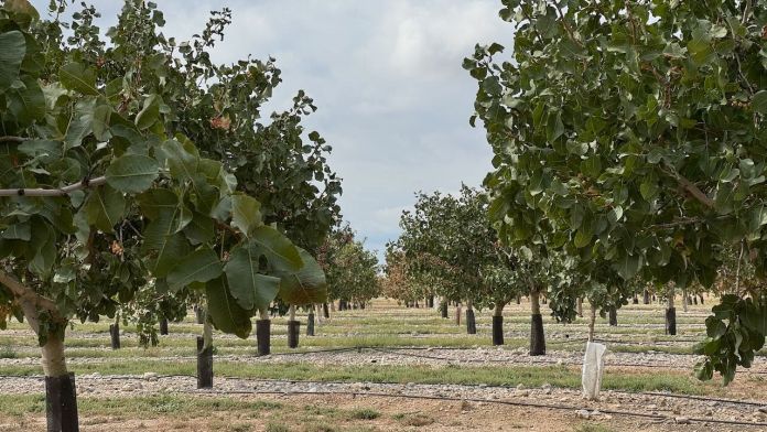 WhatsApp Image 2025 11 21 at 19.57.30 WhatsApp Image 2025 11 21 at 19.57.30