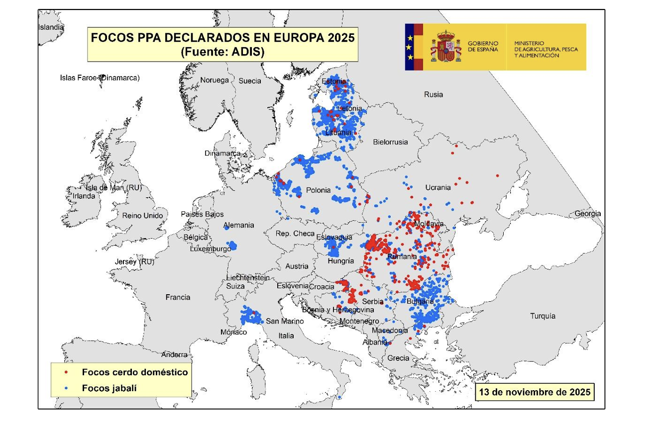 Mapa de focus de pesta porcina africana a Europa fins al 13 de novembre de 2025 | Ministeri espanyol d'Agricultura, Pesca i Alimentació Mapa de focus de pesta porcina africana a Europa fins al 13 de novembre de 2025 | Ministeri espanyol d'Agricultura, Pesca i Alimentació