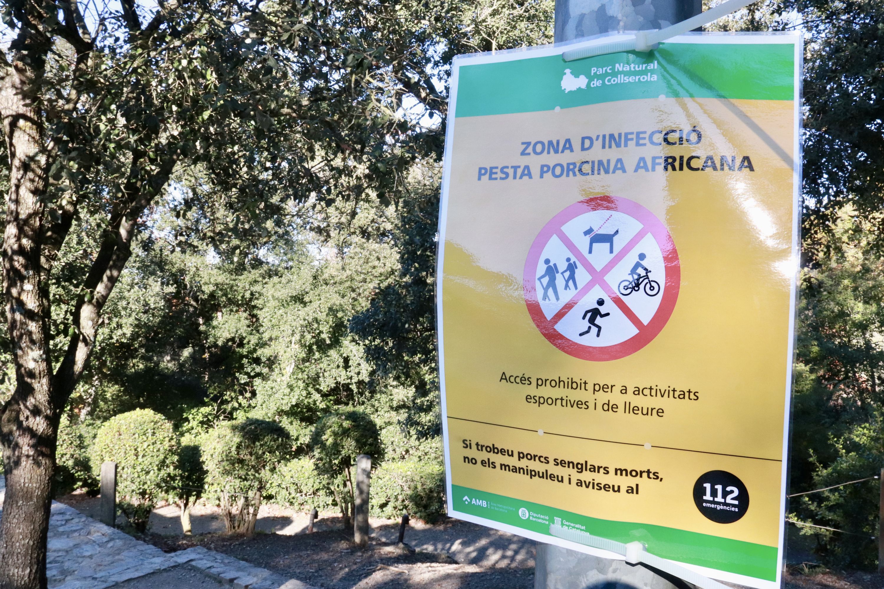 Cartell sobre les restriccions per evitar la propagació de la pesta porcina africana, exposats al centre d’informació del Parc Natural de la Serra de Collserola | Gemma Sánchez Bonel (ACN)