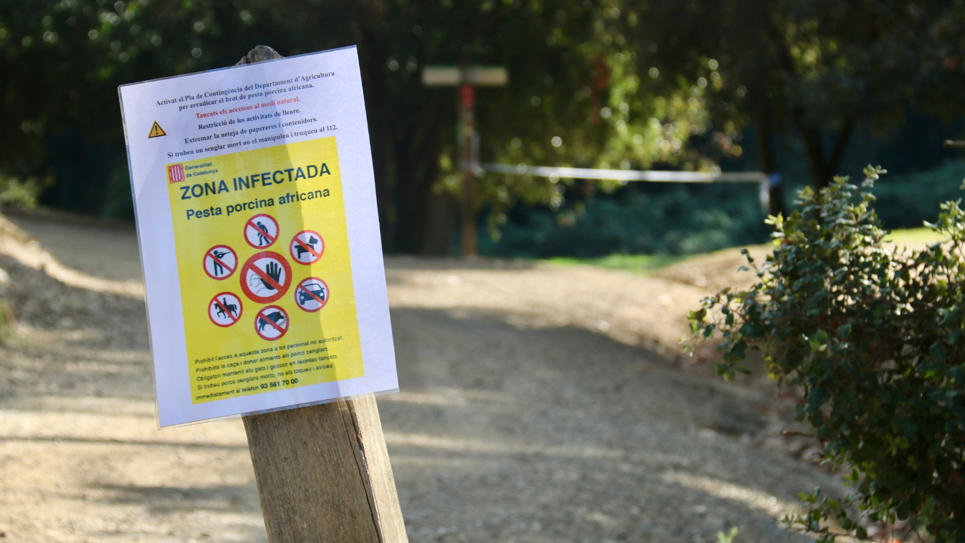 Un cartell informa d'una zona infectada a l'àmbit de Can Coll, a Cerdanyola del Vallès | Albert Segura (ACN)