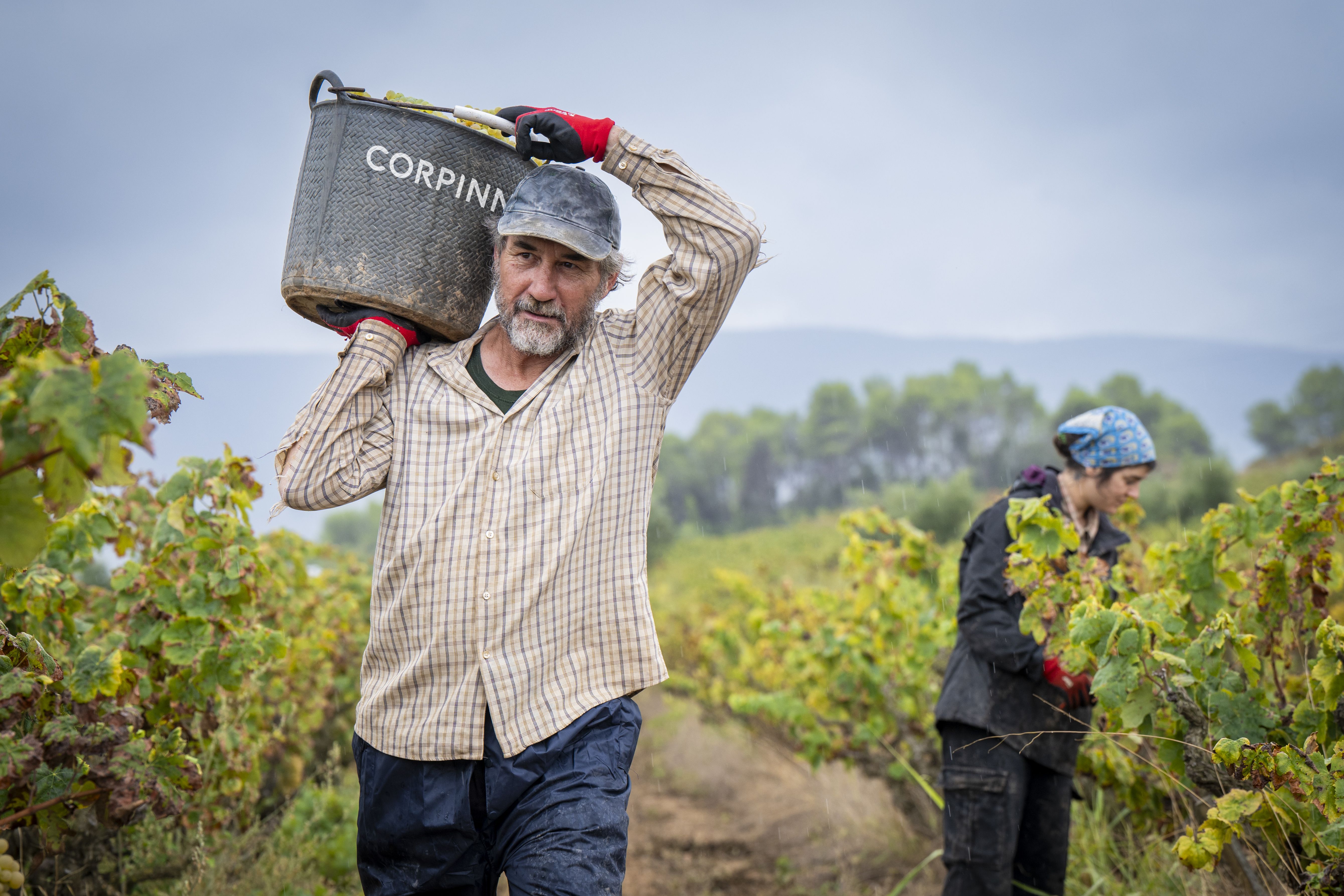 Corpinnat, una marca col·lectiva fundada per sis cellers històrics del Penedès | Cedida