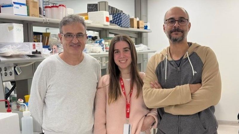Equipo de investigadores del proyecto THOR | Cedida