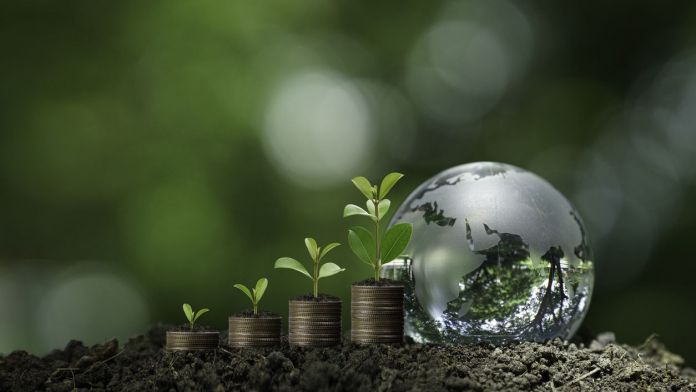 iStock 2235502902 iStock 2235502902