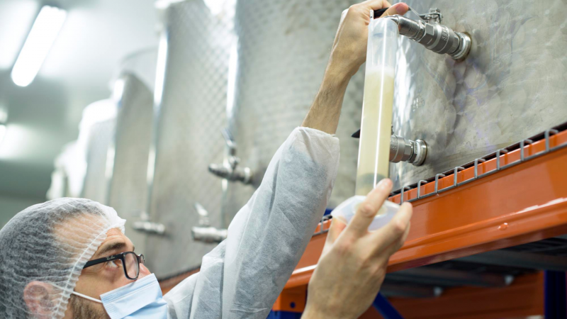 Proceso de extracción de kombucha en el obrador de Mūn Ferments | Cedida