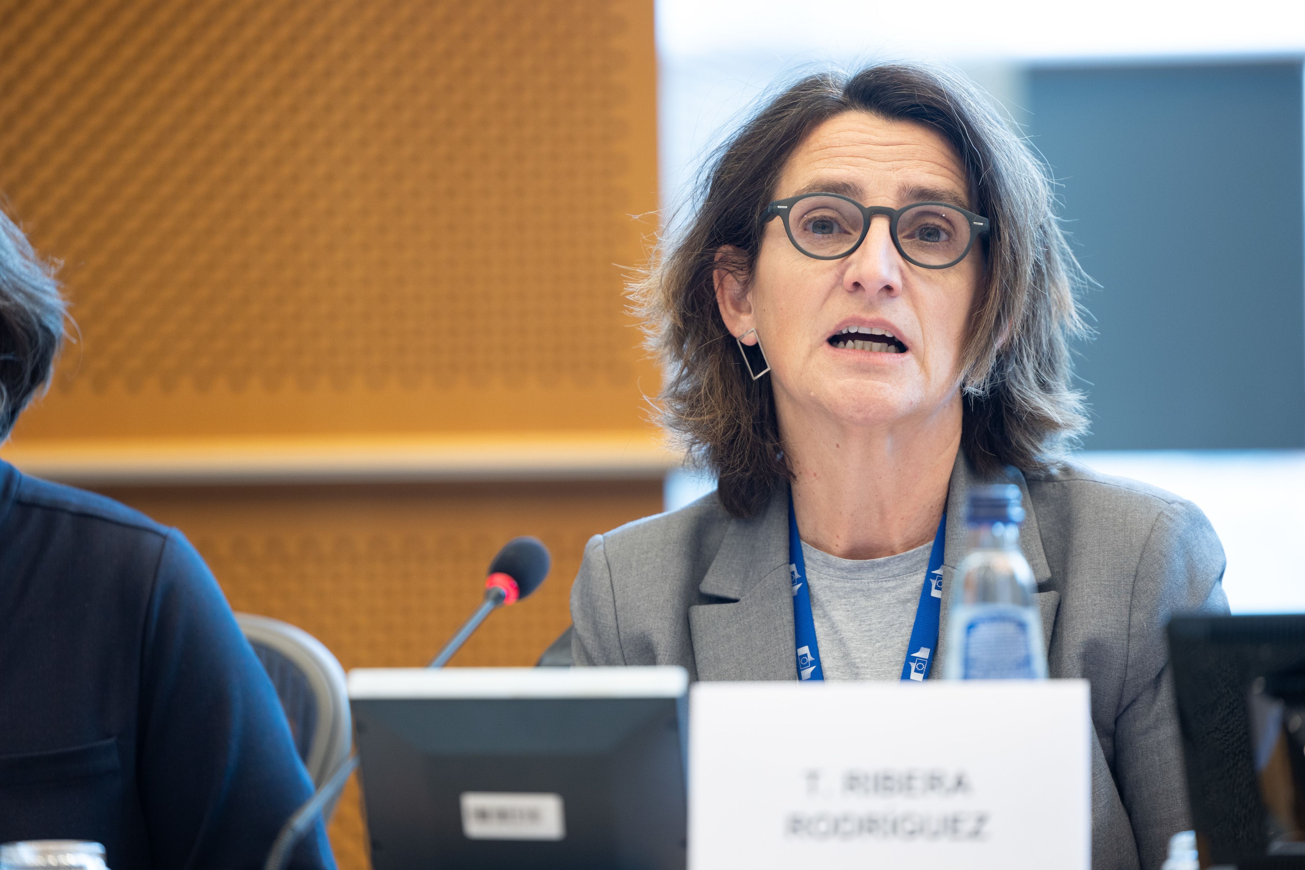 La vicepresidenta executiva de la Comissió Europea, Teresa Ribera, durant una intervenció al Parlament Europeu | Unió Europea