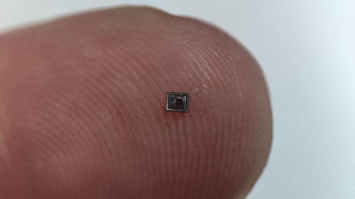 Un dels microxips en què treballa AiQUOS | Cedida