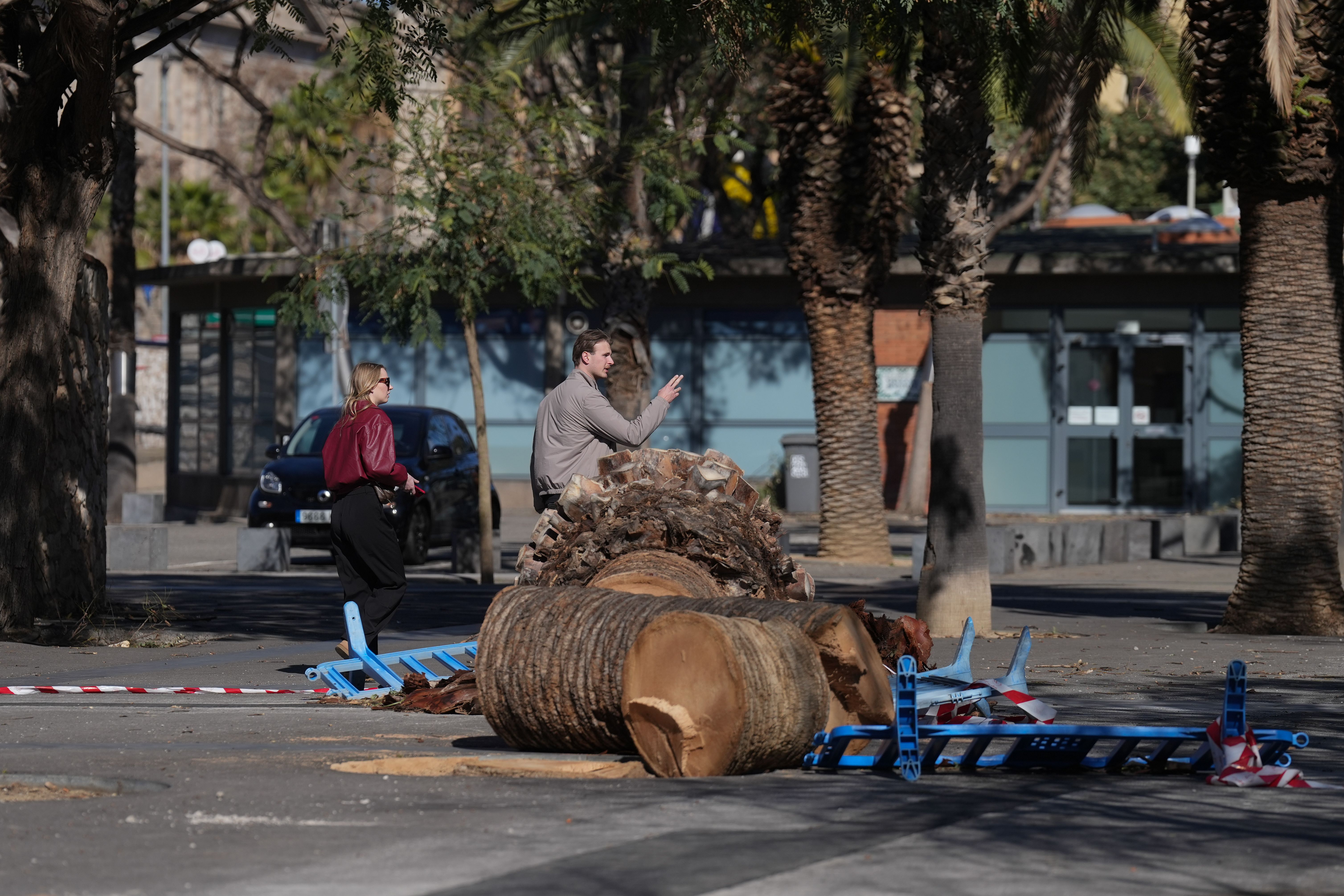 Trossos de palmeres en el sòl durant el temporal per vent | EP