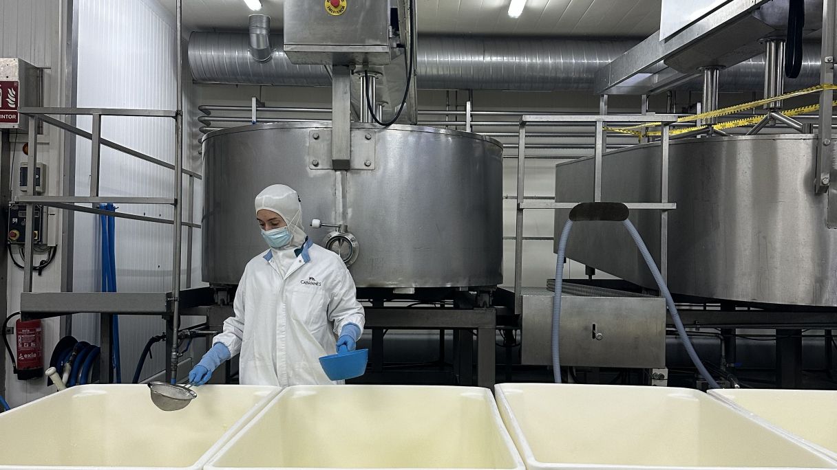 De la cuina de casa a una nau de 3.000 metres quadrats | Cedida De la cuina de casa a una nau de 3.000 metres quadrats | Cedida