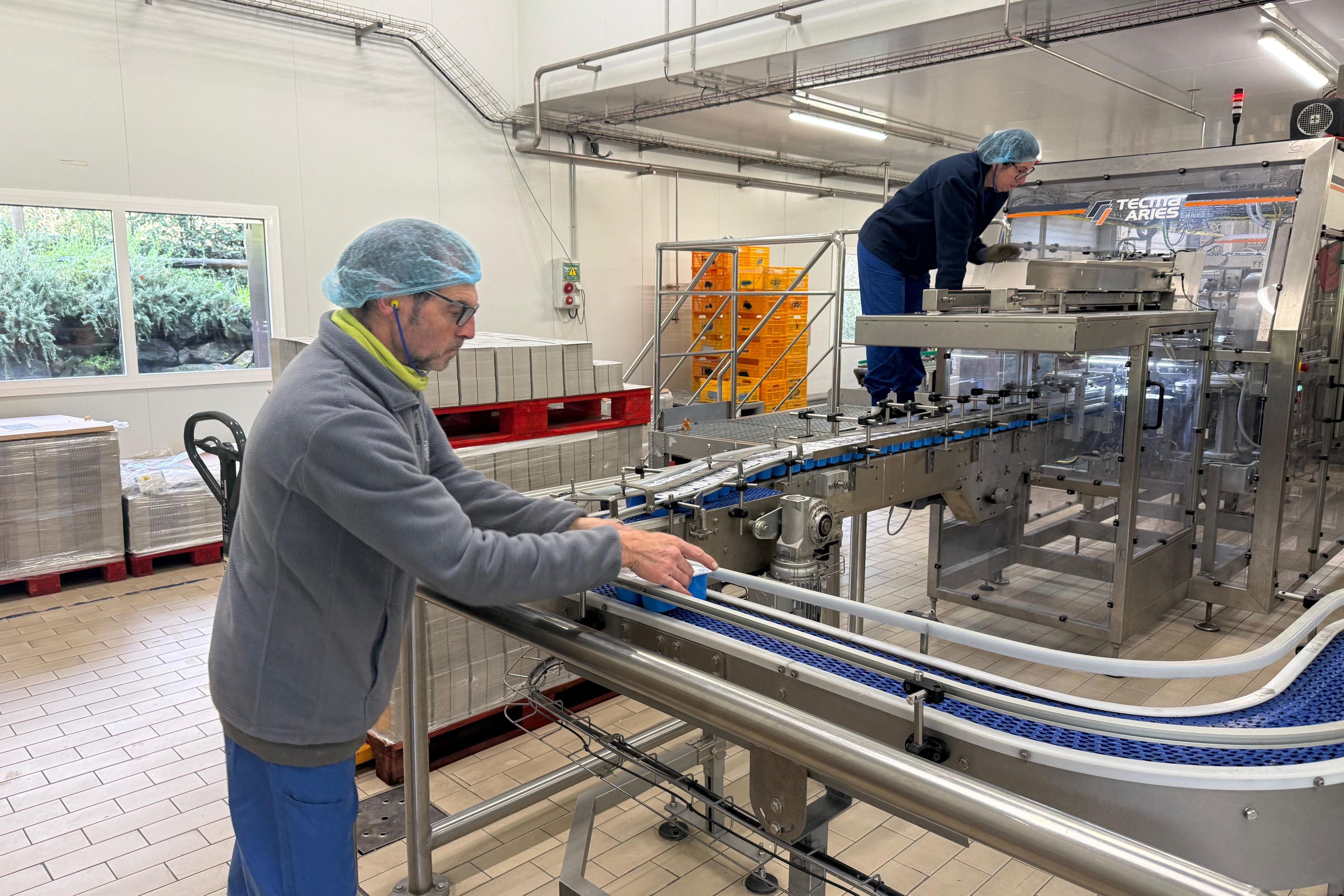 Dos trabajadores en la planta de la Fageda, en Santa Pau | Gerard Vilà (ACN) Dos trabajadores en la planta de la Fageda, en Santa Pau | Gerard Vilà (ACN)