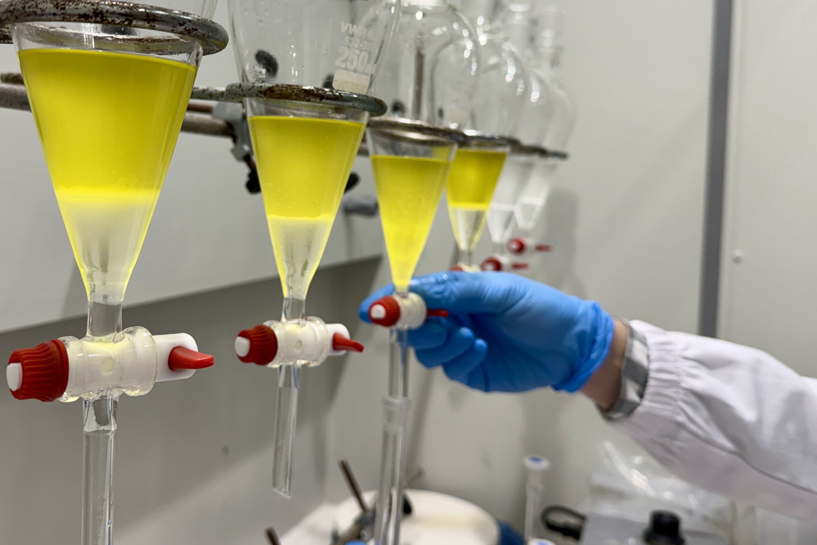 Detall de l'anàlisi a mostres d'oli d'oliva verge extra, al Laboratori Agroalimentari de Catalunya | Jordi Pujolar (ACN)