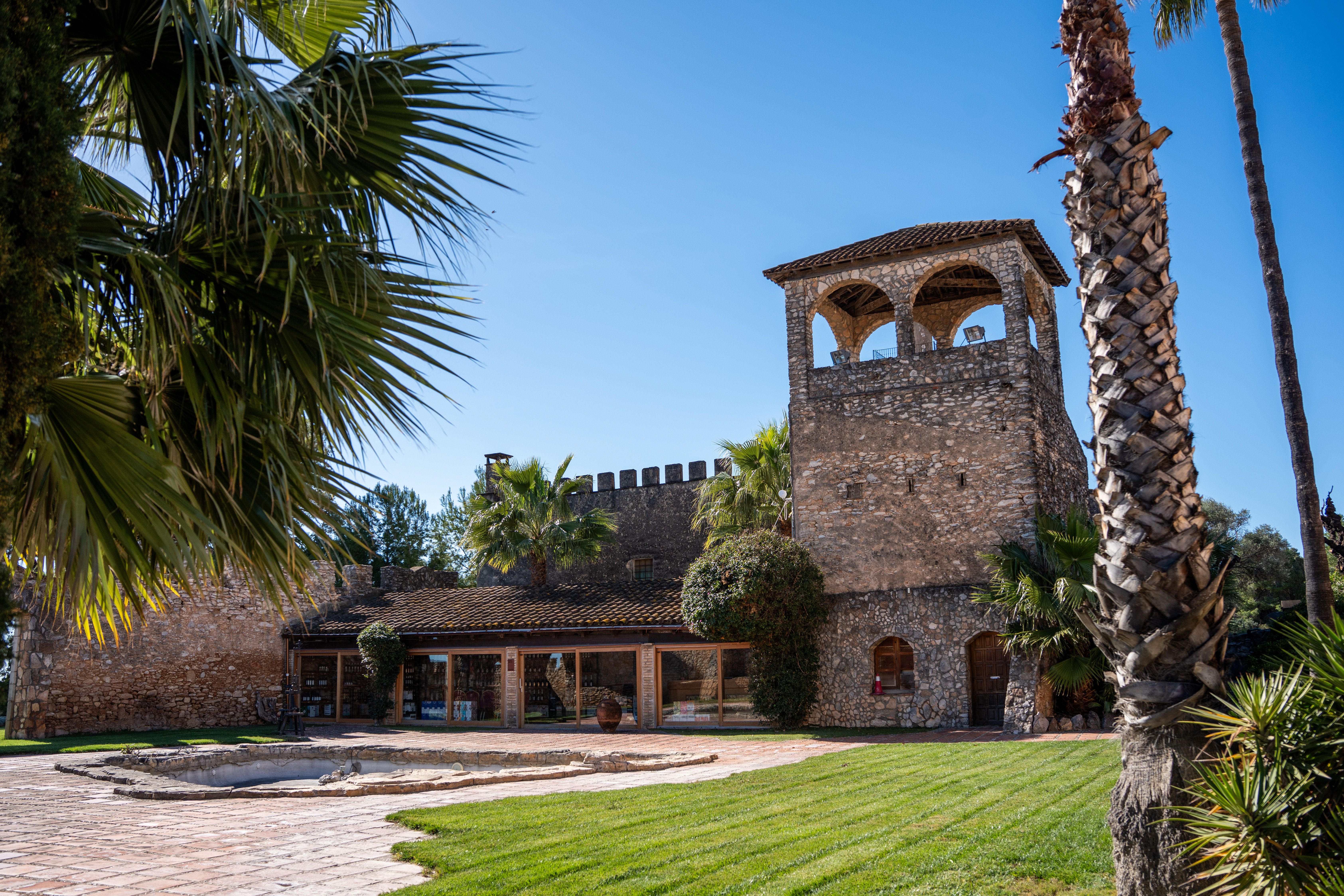 El celler Jaume Serra compta amb una finca de 125 hectàrees de vinyes | Carolina Santos