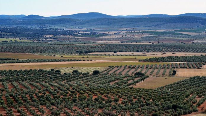 Vista aérea del Campo de Montiel (Ciudad Real) | Europa Press Vista aérea del Campo de Montiel (Ciudad Real) | Europa Press
