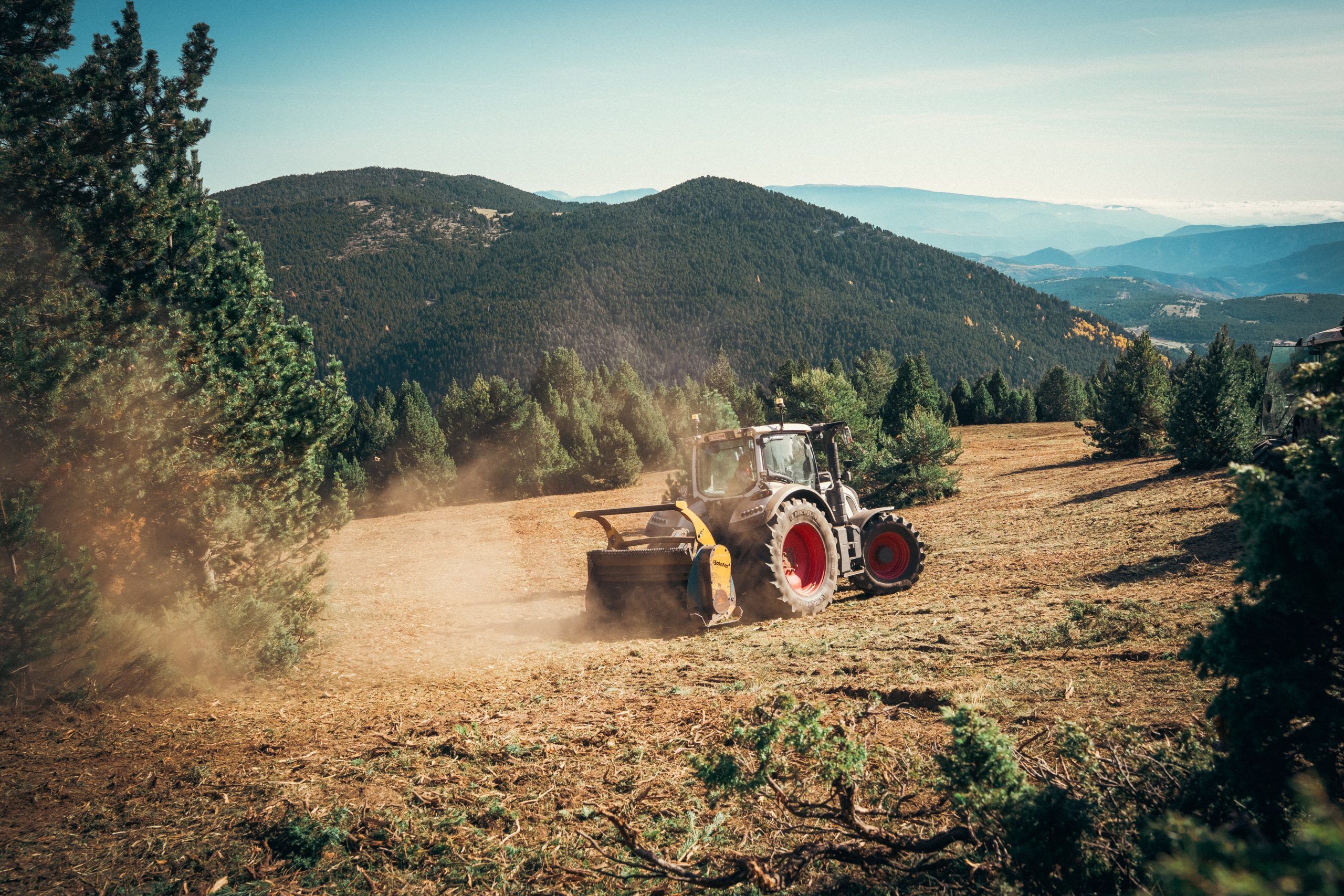 El Pallars Sobirà ha recuperado 150 hectáreas de pastos | Cedida