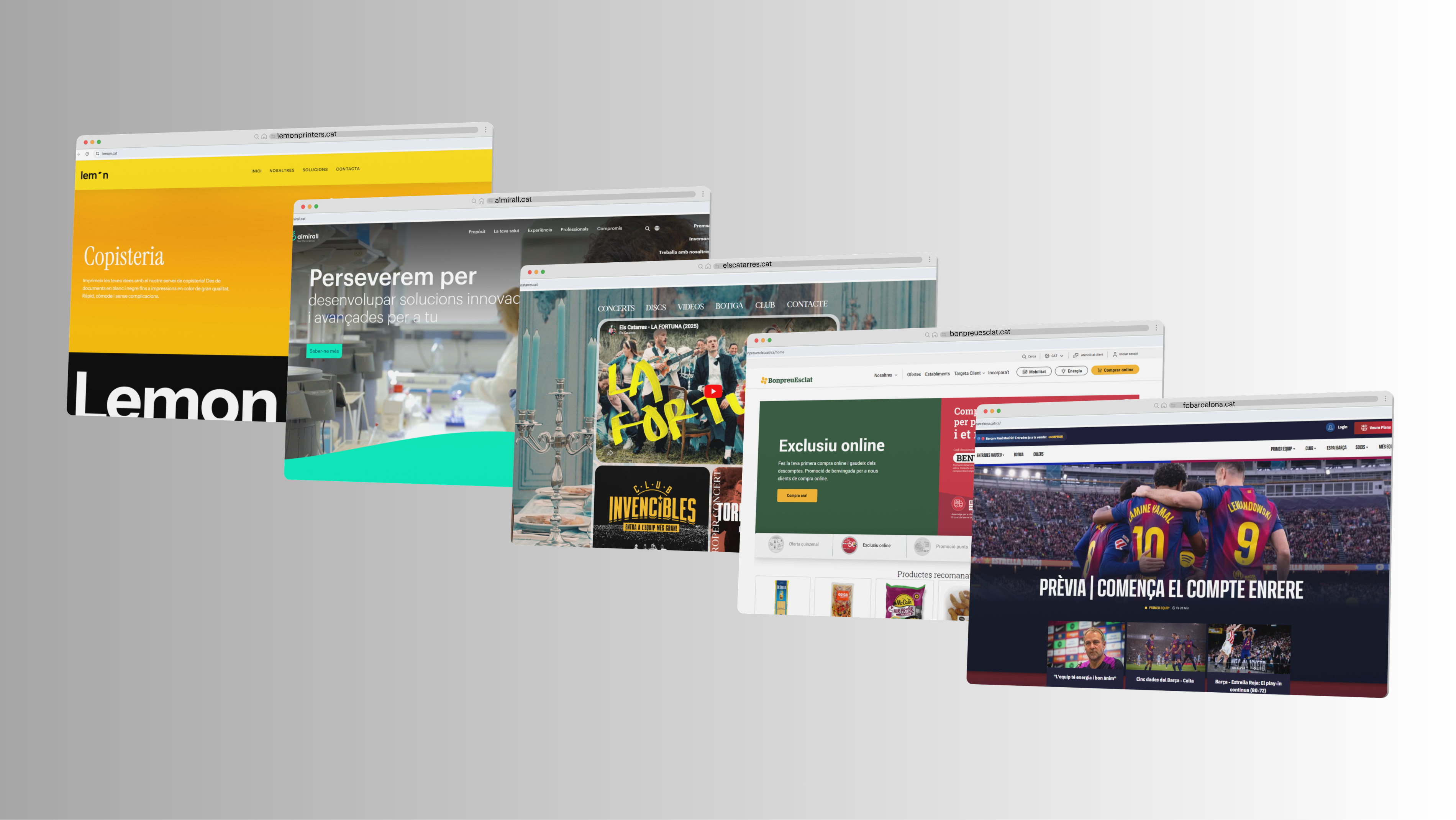 Empreses i entitats de referència utilitzen el domini per connectar amb la comunitat catalanoparlant a la xarxa | Cedida