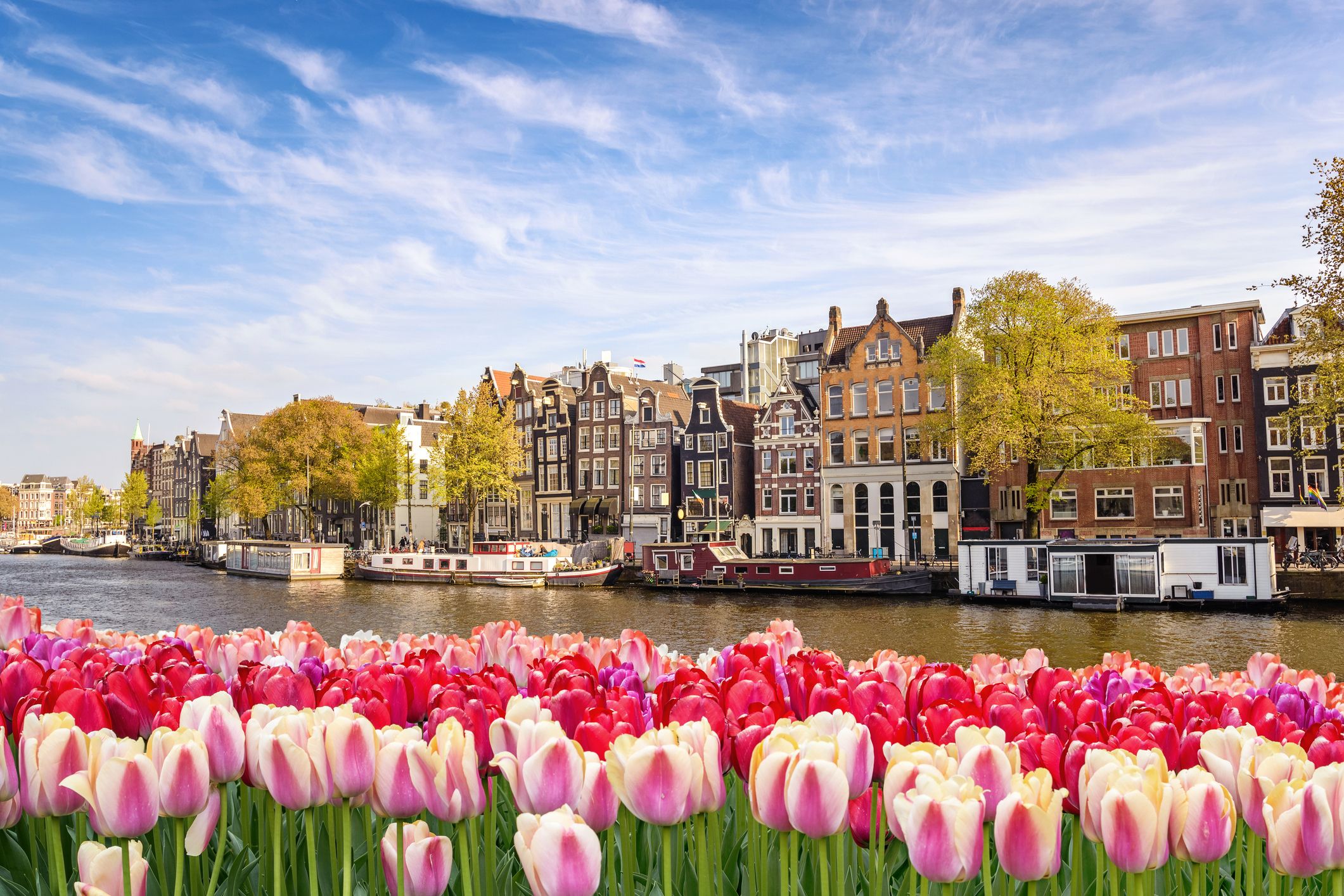 Les icòniques cases holandeses i les tulipes dibuixen el paisatge característic d’Amsterdam | iStock