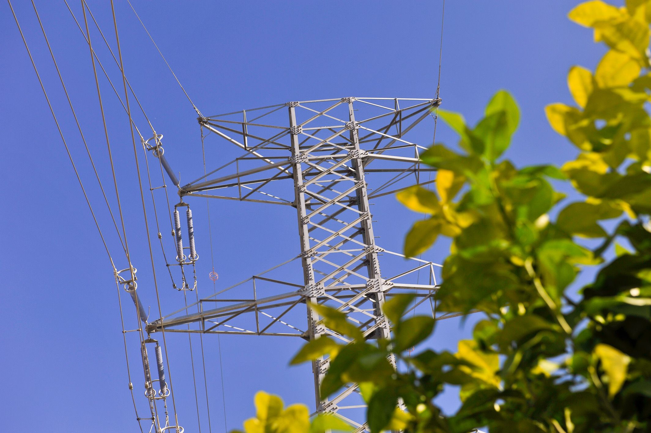 Xarxes d'electricitat de Naturgy | Cedida