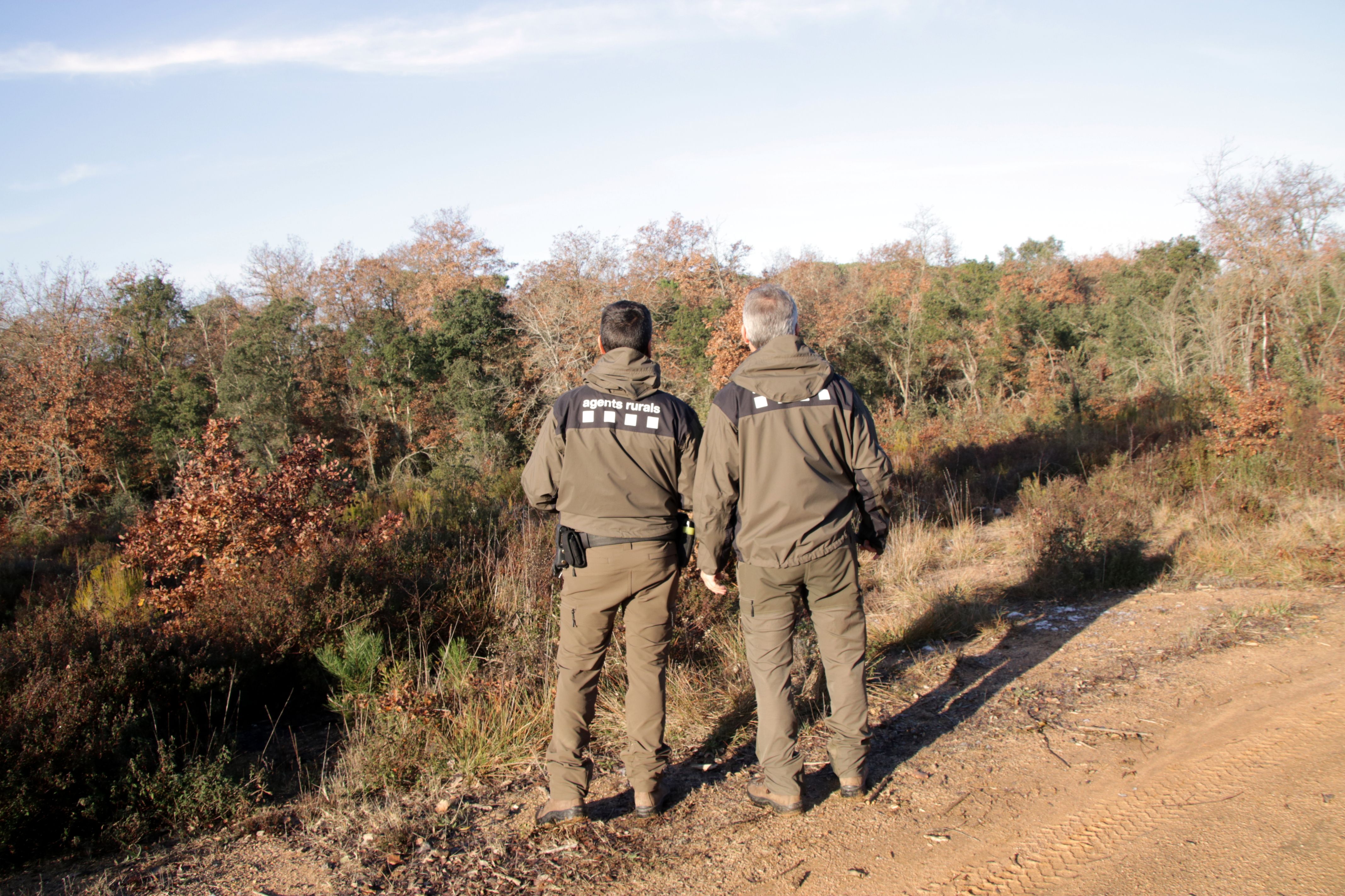 Dos agents rurals analizant una finca afectada a Caldes de Malavella | Berta Artigas Fontàs (ACN) Dos agents rurals analizant una finca afectada a Caldes de Malavella | Berta Artigas Fontàs (ACN)