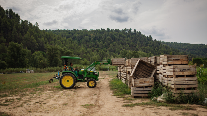 La Cooperativa Mans dona feina a joves en risc d’exclusió social a través de l’agricultura ecològica | Cedida La Cooperativa Mans dona feina a joves en risc d’exclusió social a través de l’agricultura ecològica | Cedida