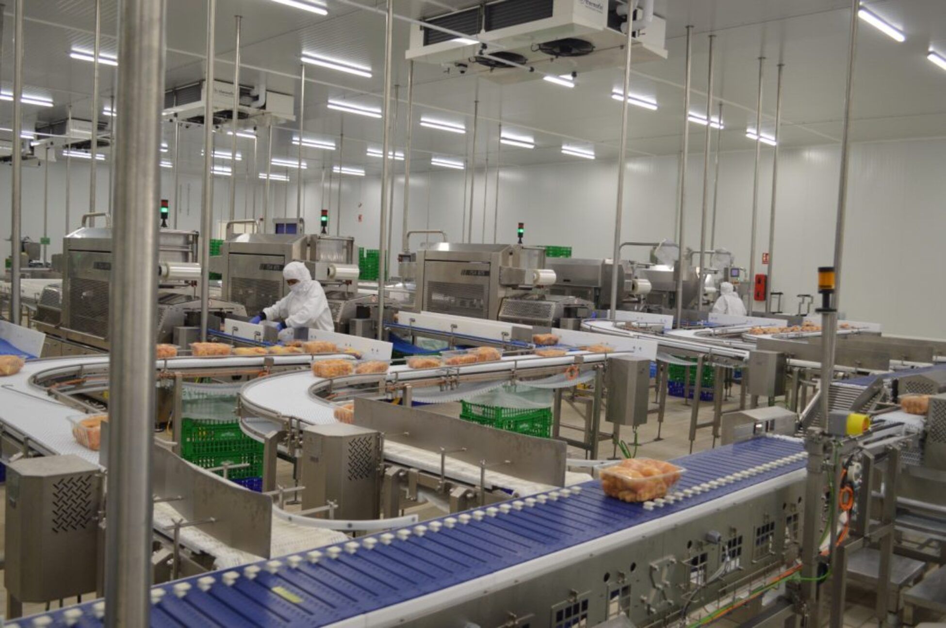 Planta envasadora de la secció avícola de Vall Companys | Cedida