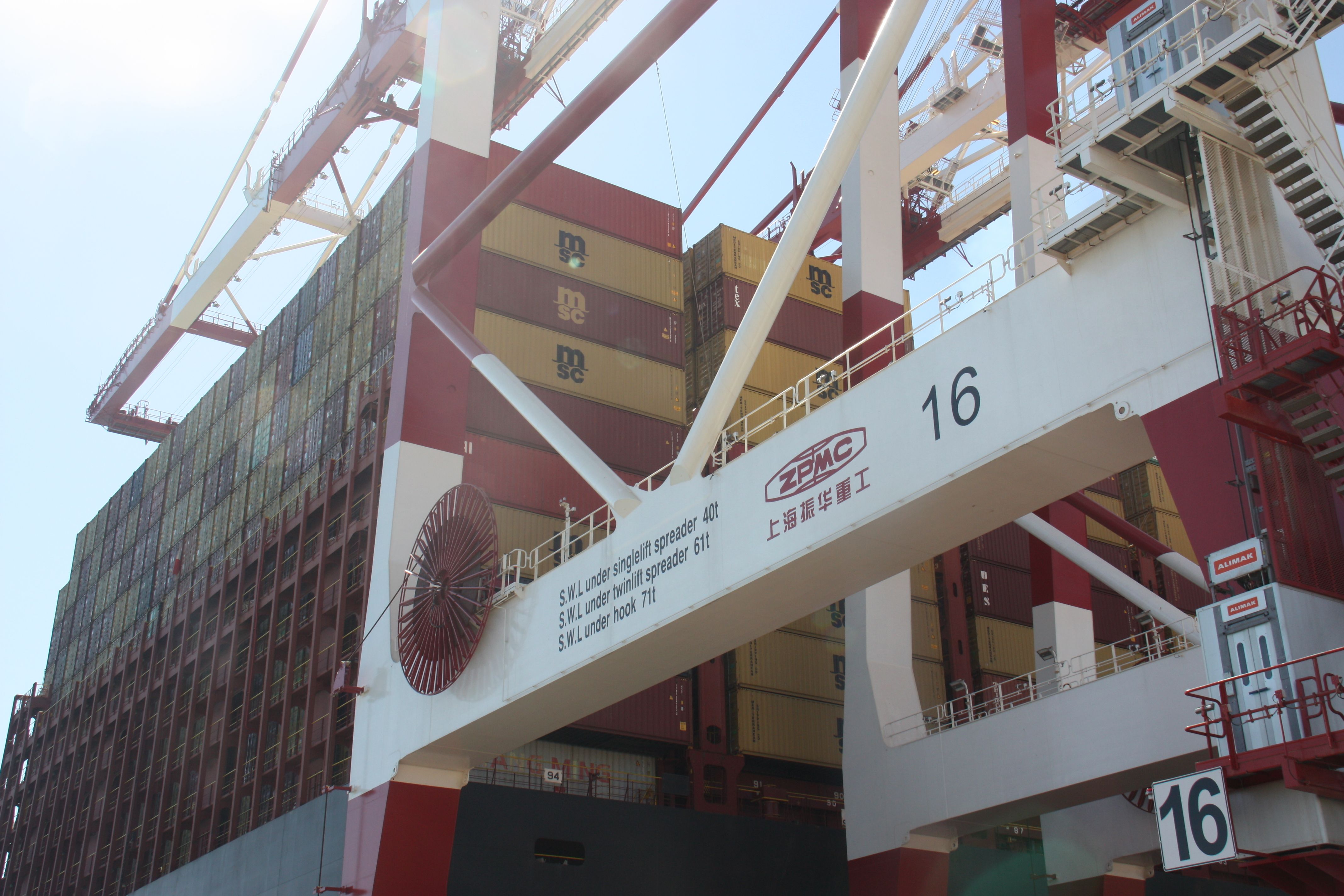 Les grues de la terminal de contenidors Hutchison Ports Best | Alba Ibáñez (ACN)
