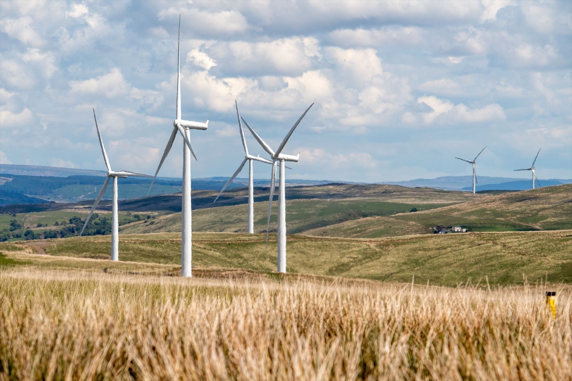 A Catalunya, la proporció d’energies renovables sobre el consum final d’energia era l'11,7%, mentre a Espanya representava el 25% | Europa Press
