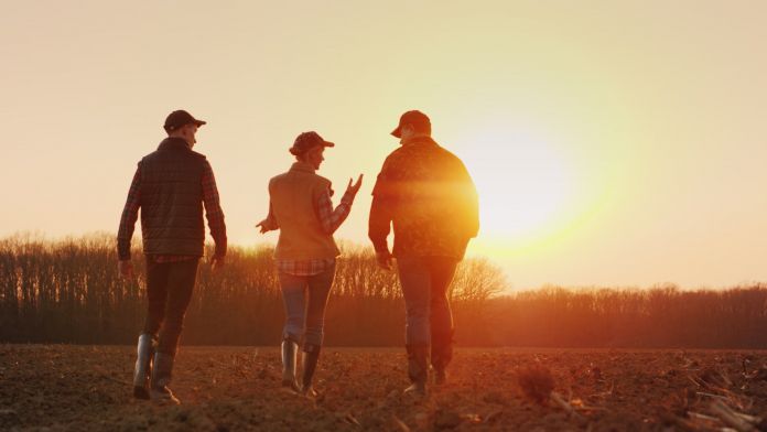 Les empreses familiars representen el 92,3% de les companyies catalanes | iStock Les empreses familiars representen el 92,3% de les companyies catalanes | iStock