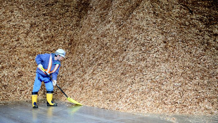 Veolia gestiona tota la cadena de subministrament de la biomassa a Espanya | Cedida Veolia gestiona tota la cadena de subministrament de la biomassa a Espanya | Cedida