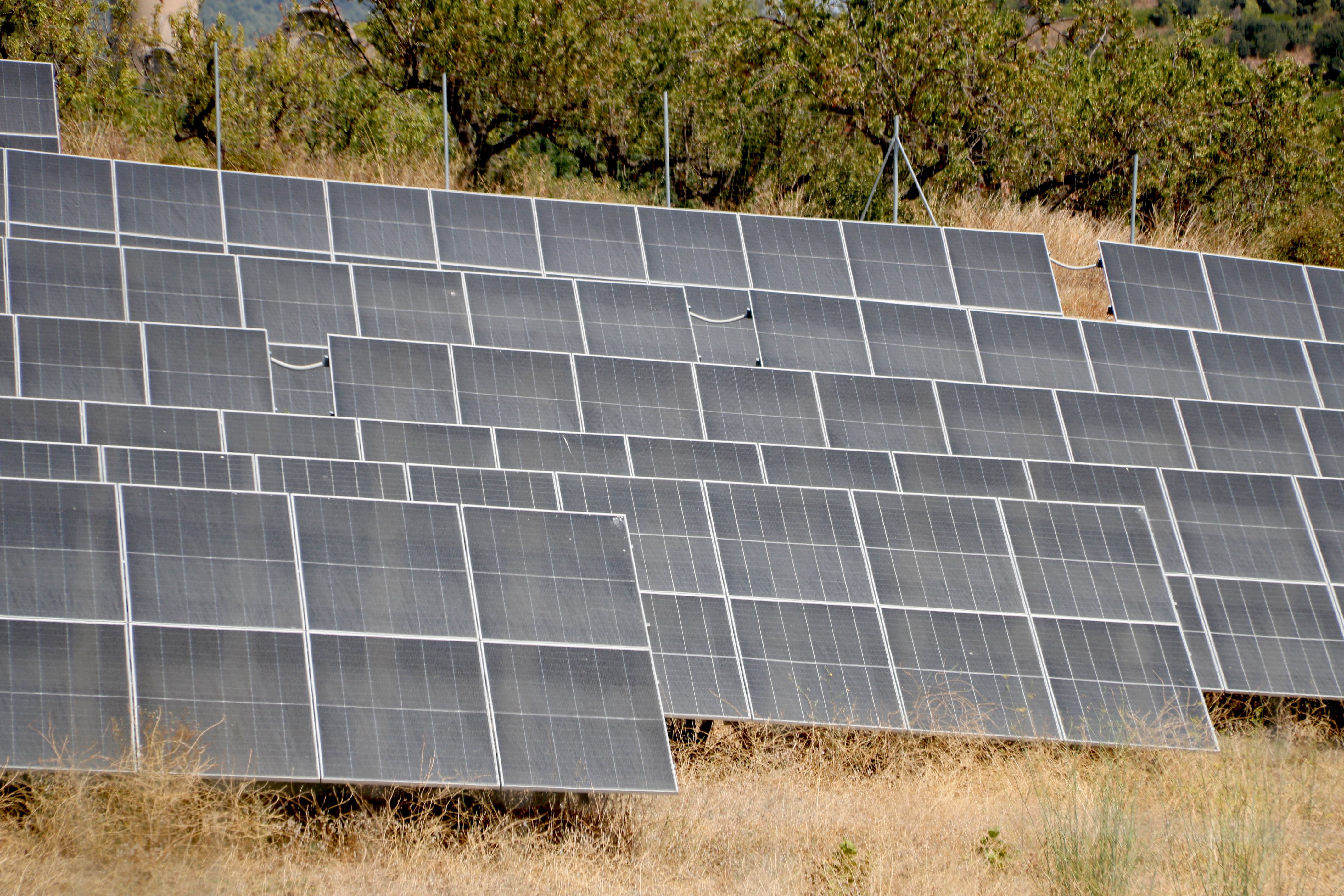 Plaques solars a la central fotovoltaica Las Lomas | Arnau Martínez (ACN)