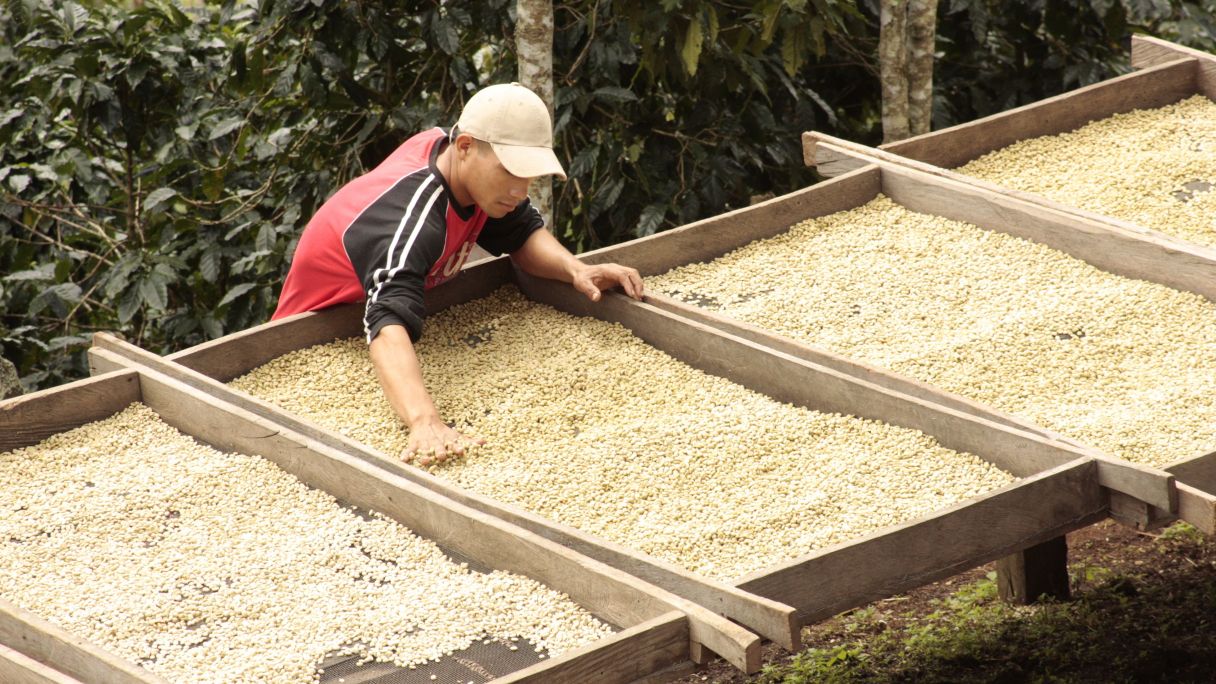 AlterNativa3 treballa amb petits productors d'Amèrica del Sud, Àfrica i Àsia | Cedida AlterNativa3 treballa amb petits productors d'Amèrica del Sud, Àfrica i Àsia | Cedida