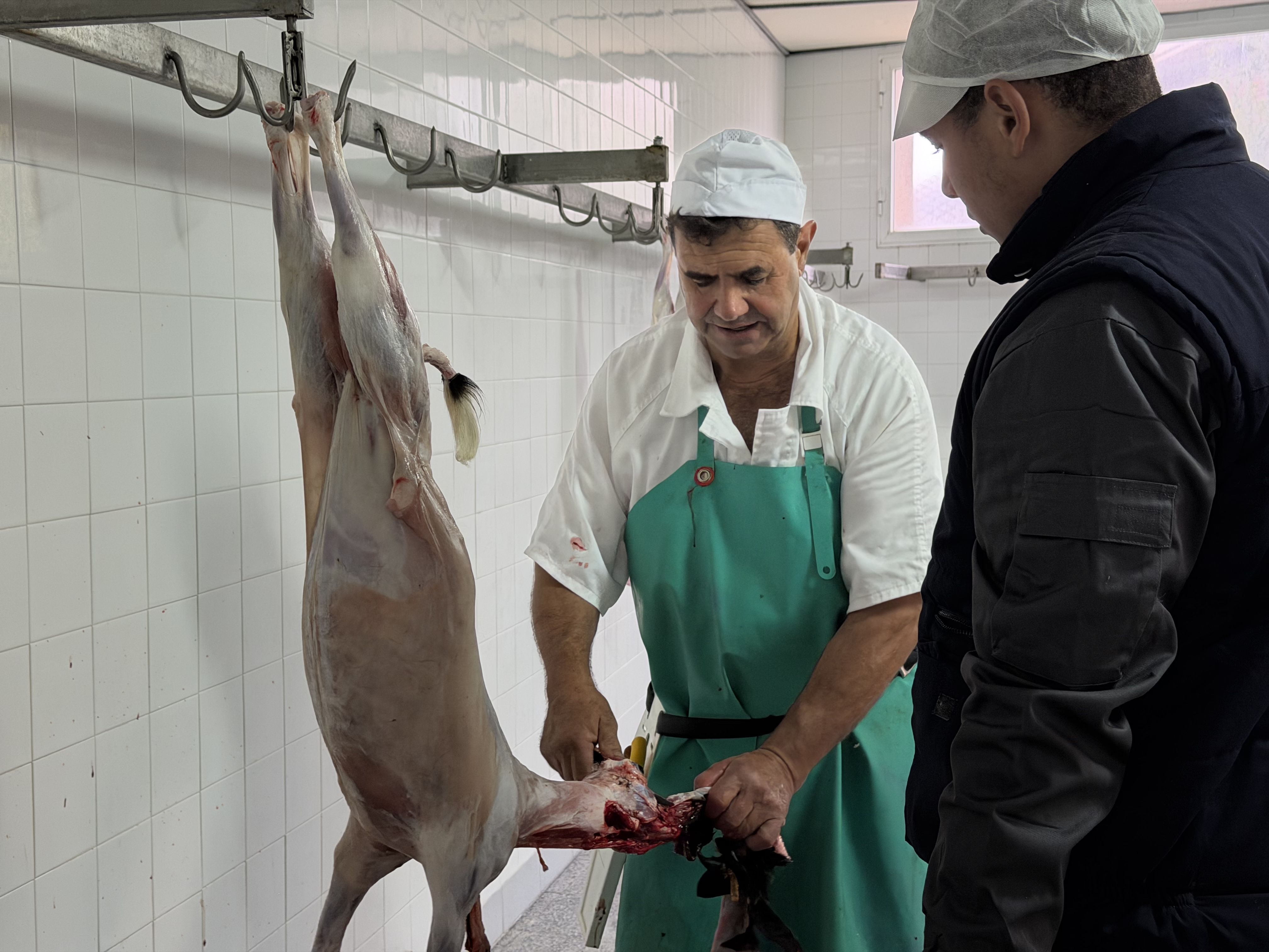 Curs de sacrifici a l'escorxador de Santa Coloma de Queralt | Arnau Martínez Teruel (ACN)