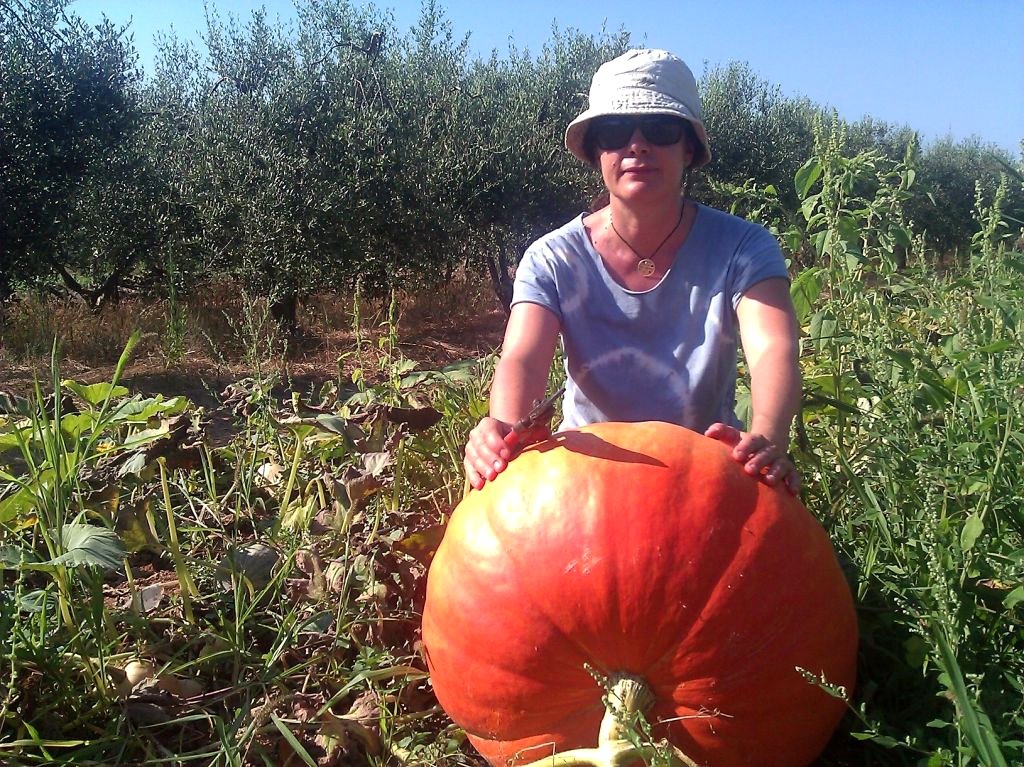 Vinyet Marcet, membre de l'APAG, amb una carbassa de grans dimensions que va créixer al seu camp